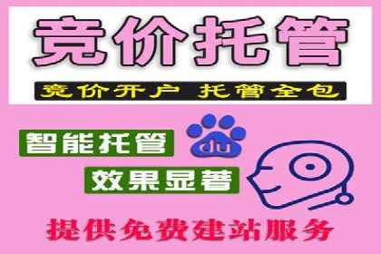 某行业sem竞价托管成功案例：精准投放的秘诀